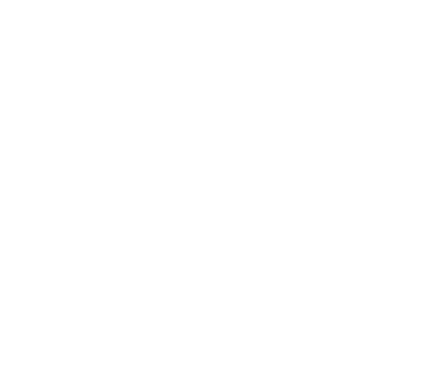 Anam Data
